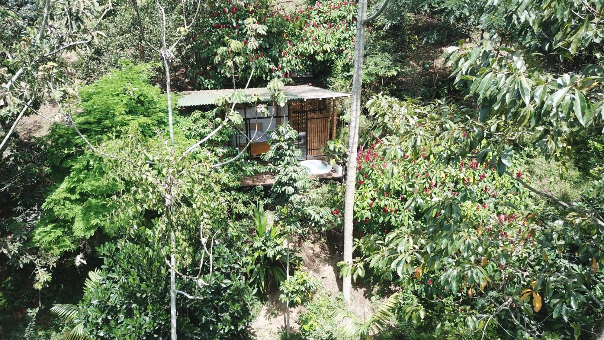 Ecohotel Alma Calarcá Exterior foto